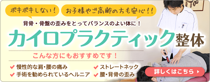 カイロプラクティック 泉大津市の整骨院 トロイカ整骨院